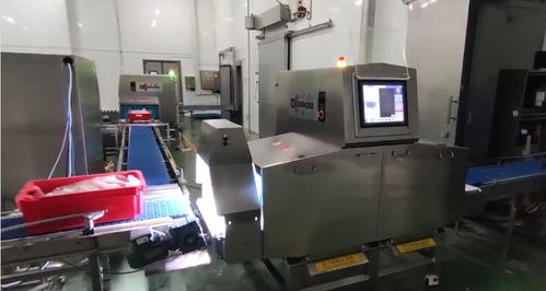 山东肉蛋奶产量何以连续32年全国居首？底气源于多维度优势与坚实技术支撑